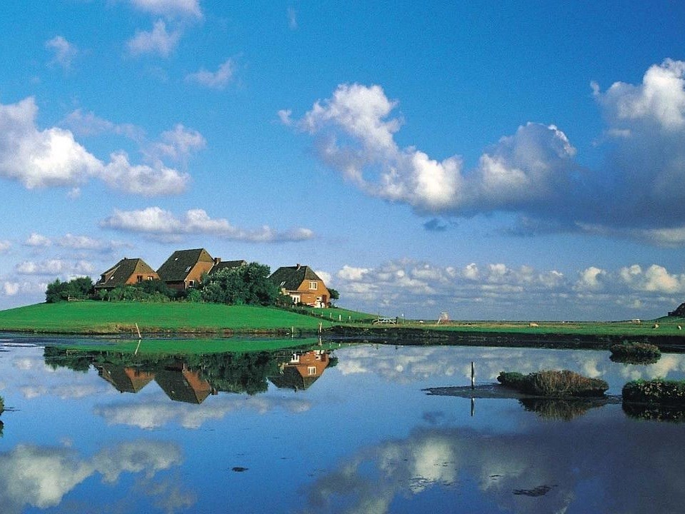 Kongesafari Hallig Hooge