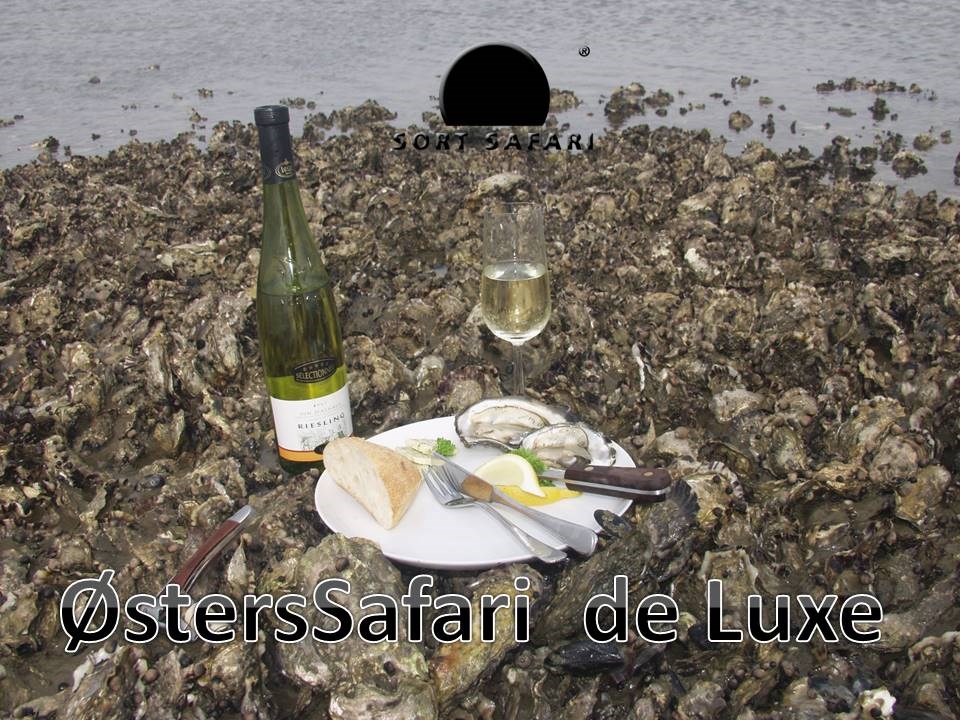 Østers Gourmet