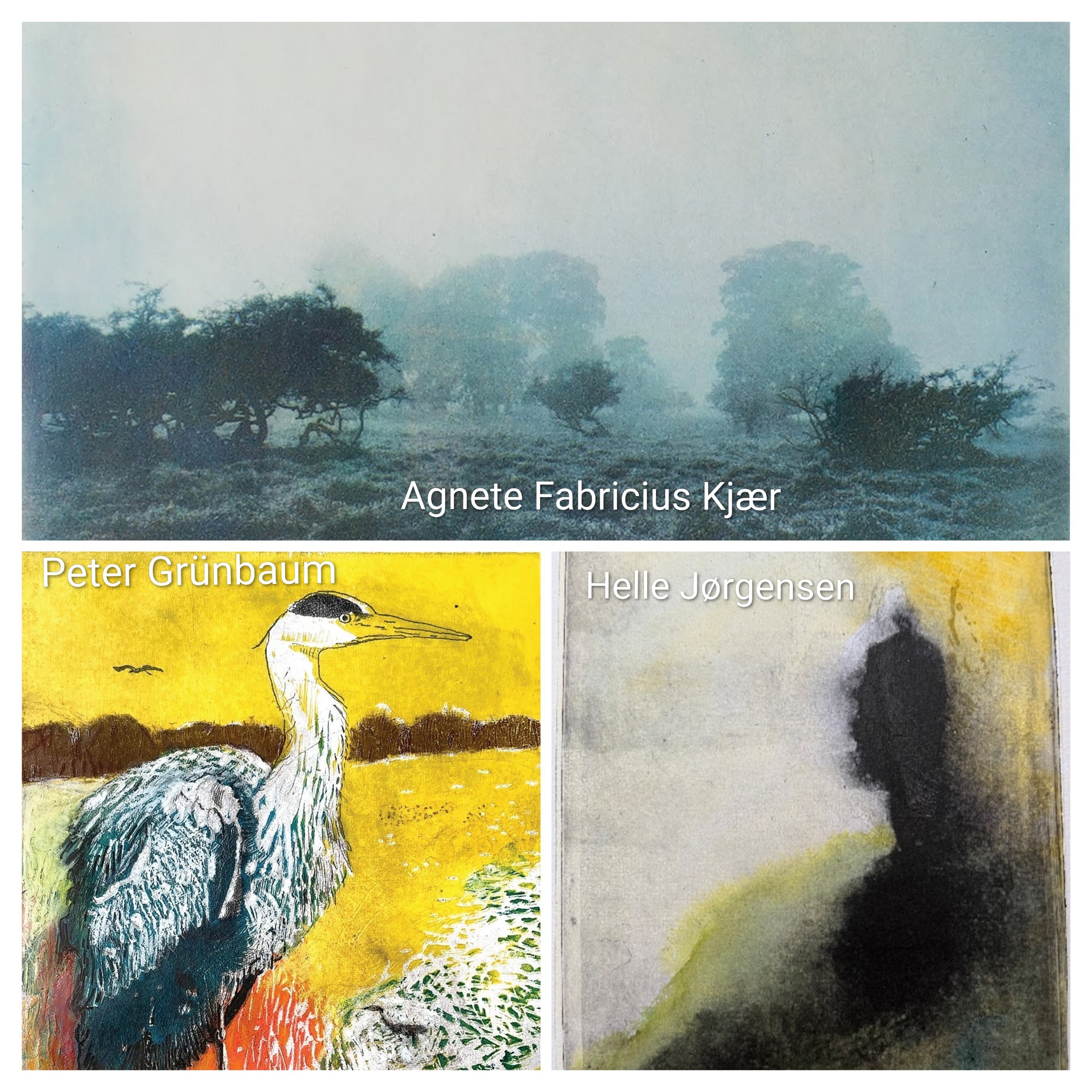 Åbent hus og fernisering, 5 Grafik udstillinger,.Havarthigaarden