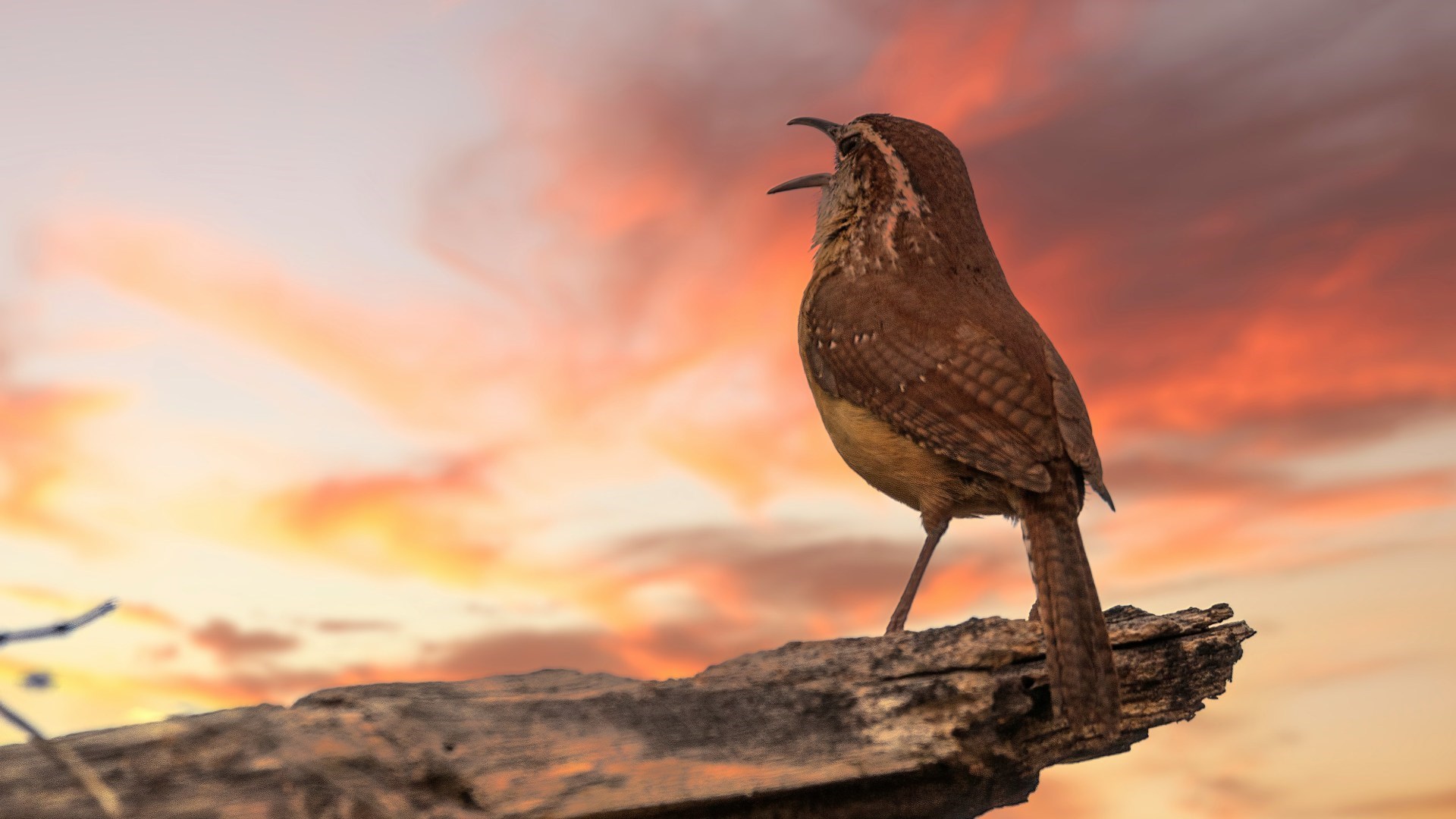 Morgensang i Lystrup Kirke