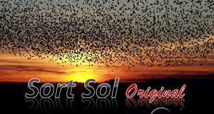 Sort Sol (bus fra Ribe)