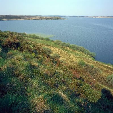 700 års historie i vores naturpark og Grøn Trepart for en bedre sø