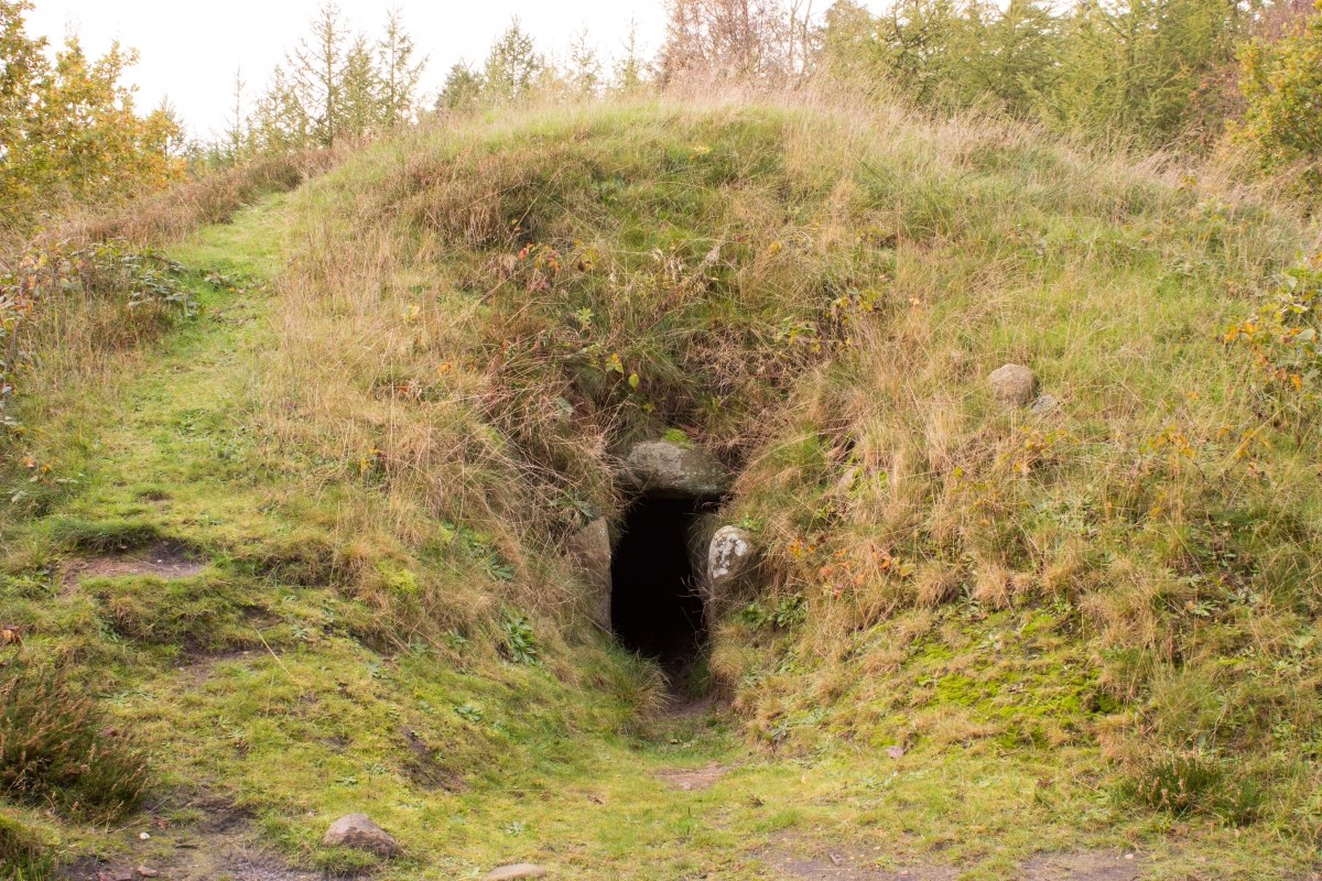 Fortidsmindedag - Guidet tur til jættestuen i Ginnerup Plantage