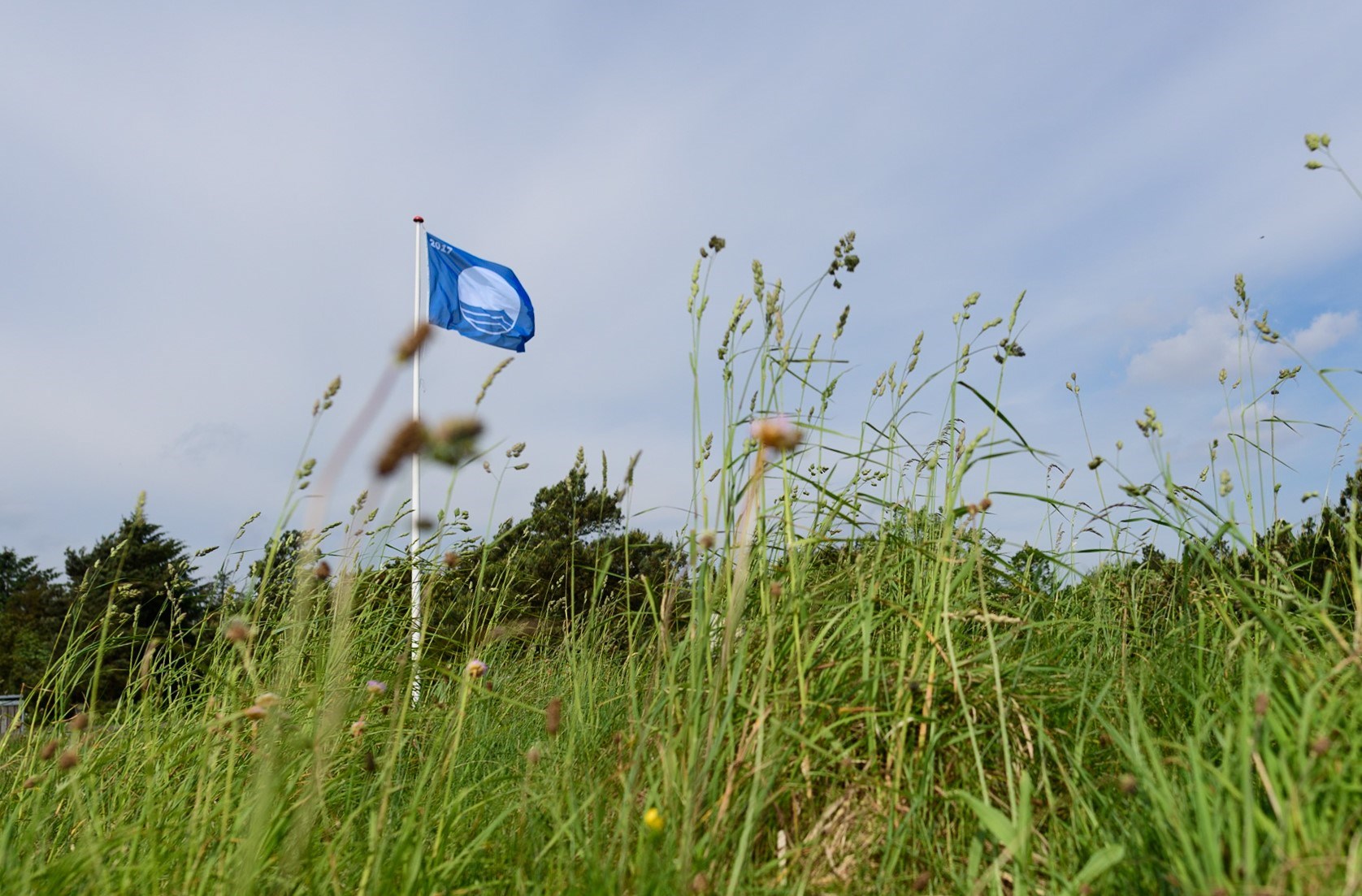 Blå Flag - Ålbæk strand