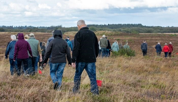 Søndagsaktivitet - Kunst og natur i Videbæk