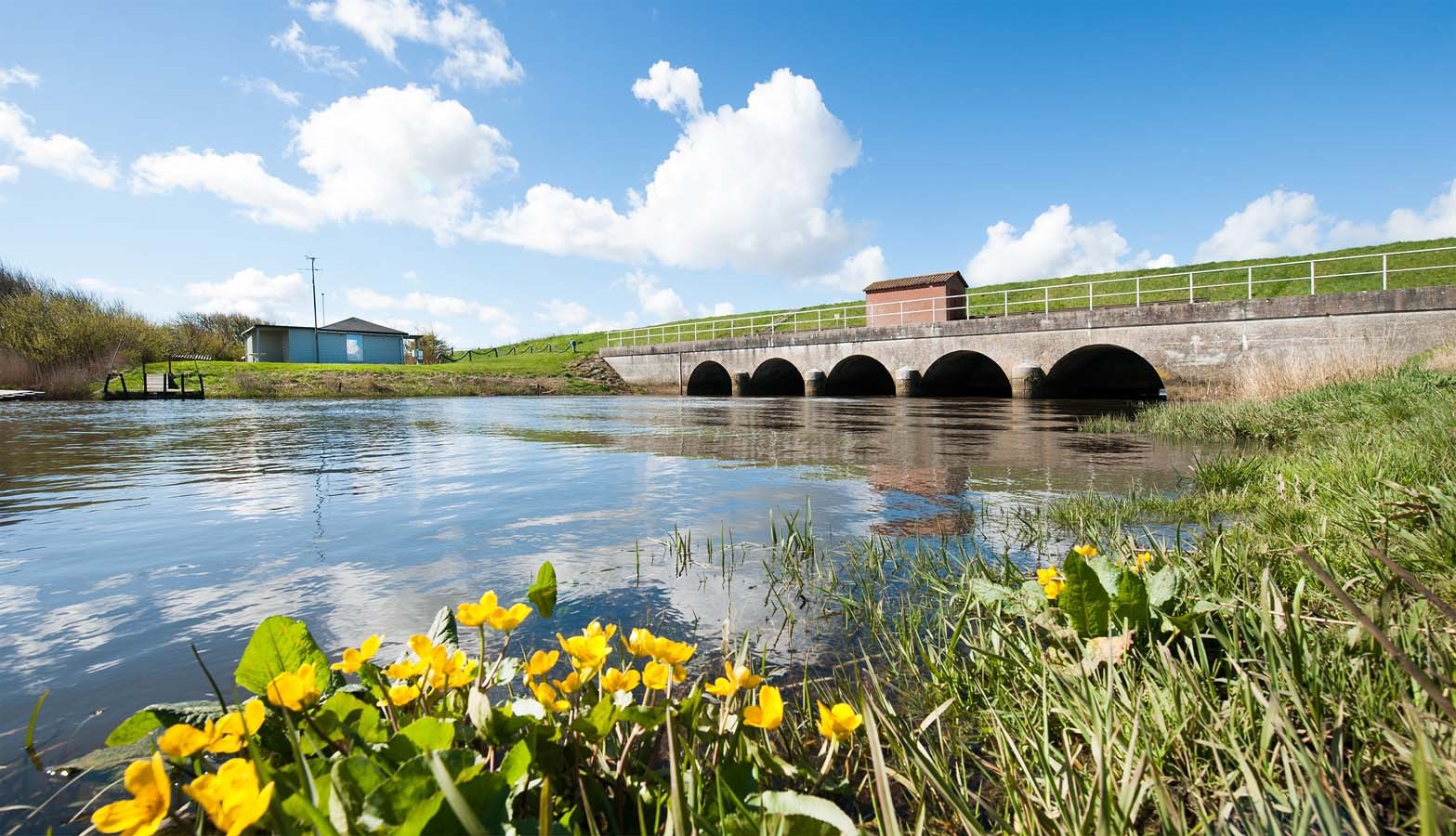Åbent hus ved Kongeåen