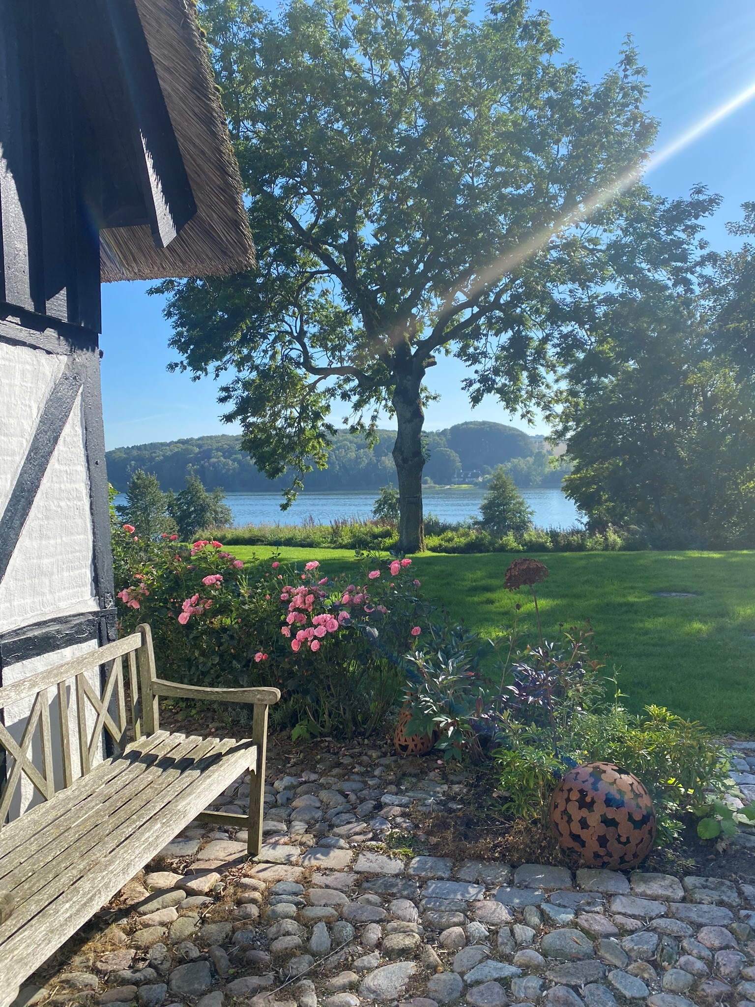 Yoga i det fri foran Galleri Art Expo med udsigt til søen