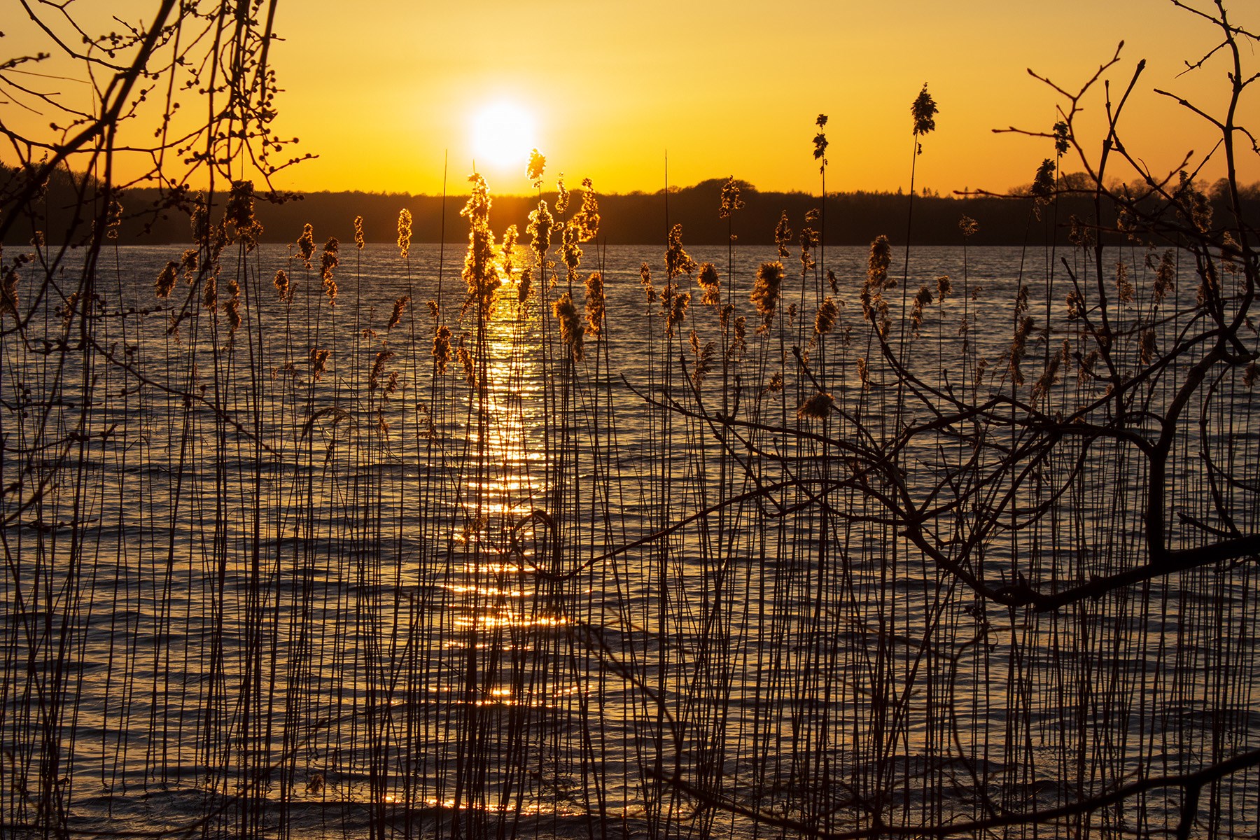 "I begyndelsen" - studiekreds om Første Mosebog og Matthæusevangeliet