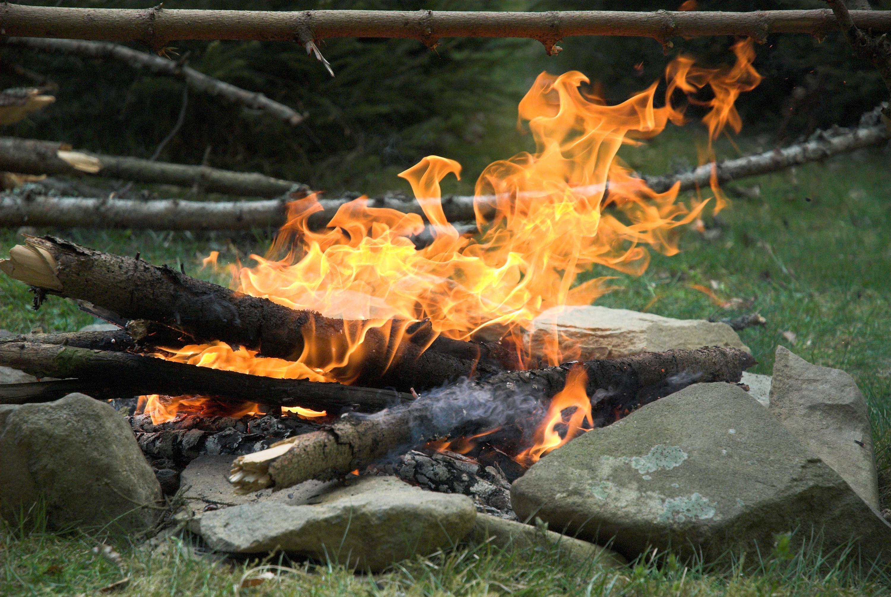 Vinter ved åen: Hør om LIFE Naturprojekt Kongeåen