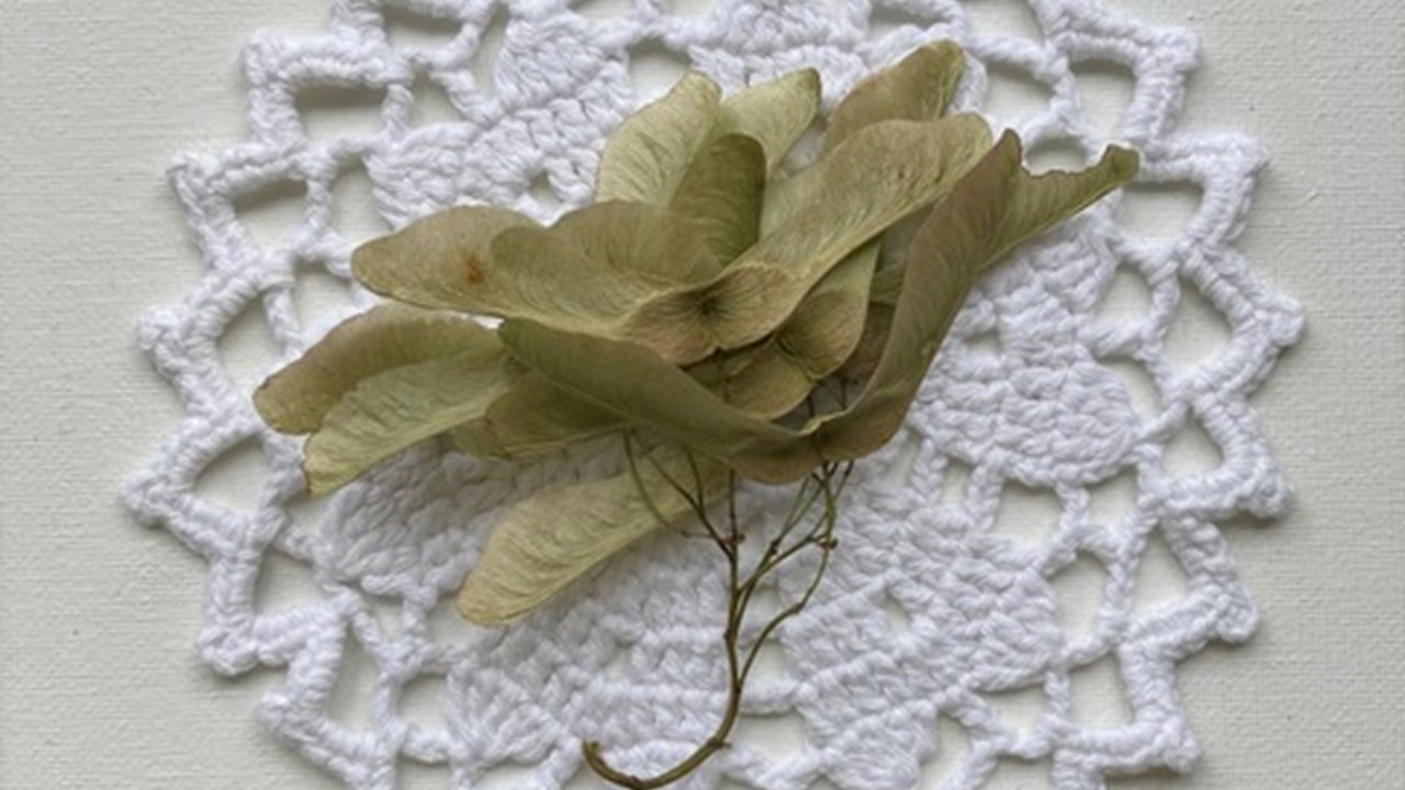 Naturen i kunsten og kunsten i naturen