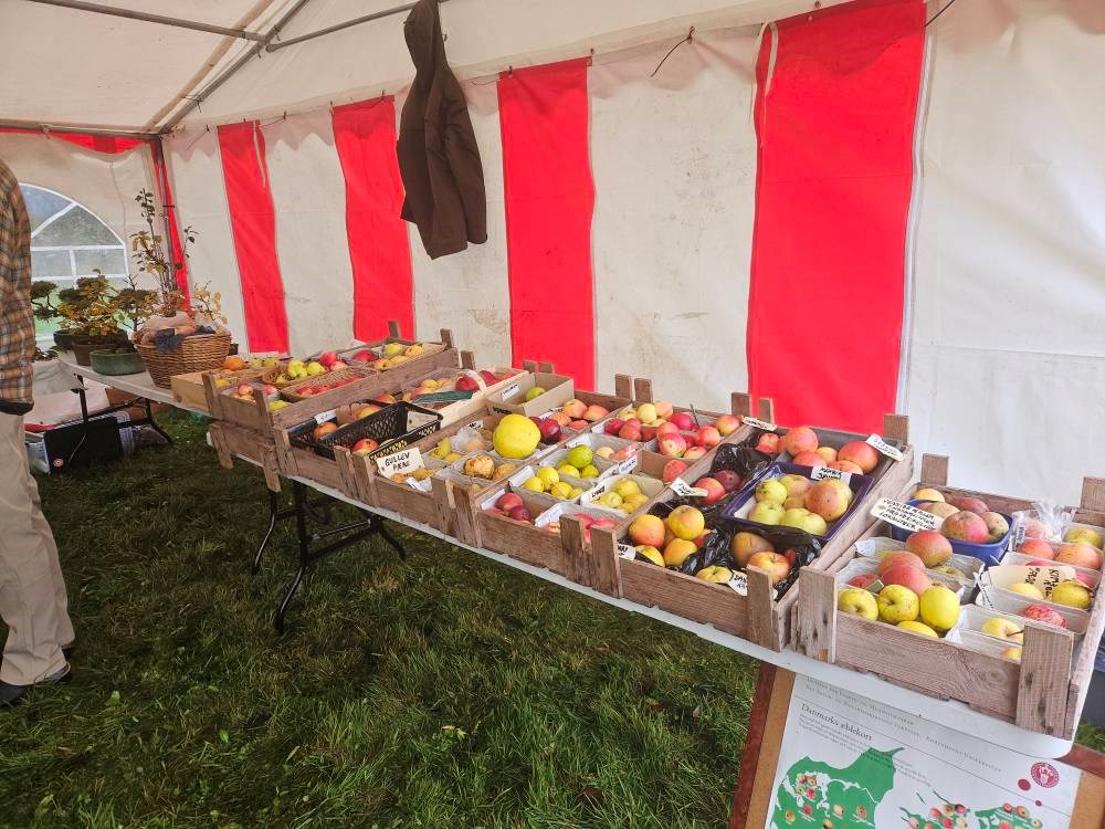 Æblefestival på Knivholt Hovedgaard, Frederikshavn