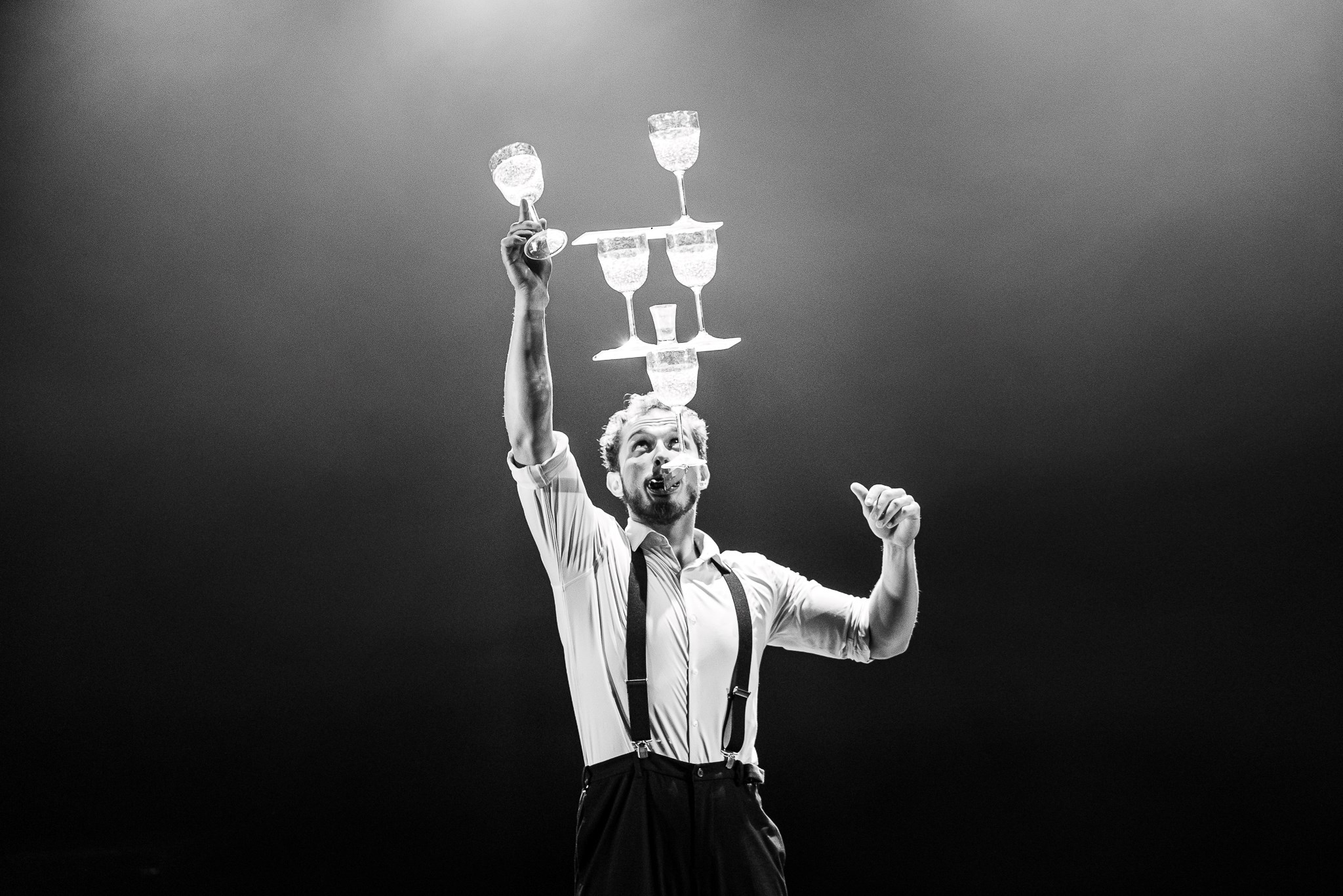 International Cirkusdag