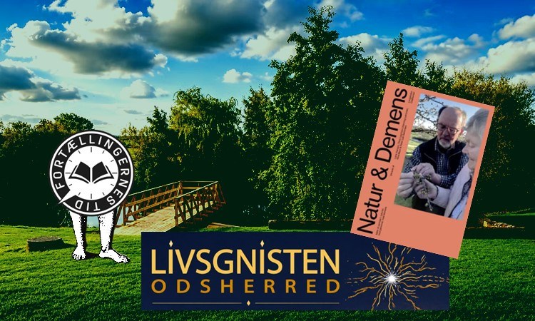 Ind i den smukkeste udsigt: Morgenfrisk fortælling & vandring i Naturens Pusterum