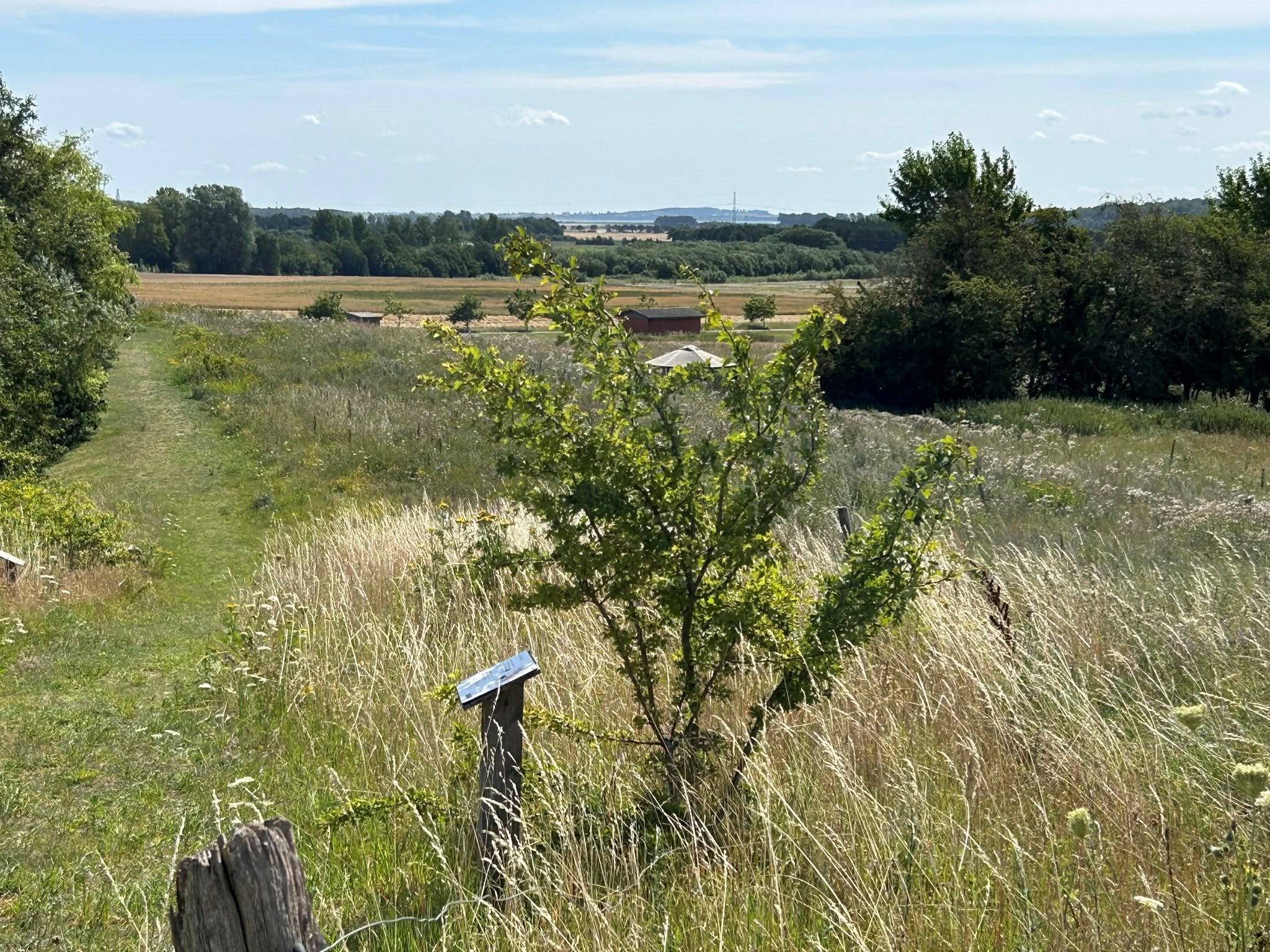 Kom med til bioblitz i naturens pusterum