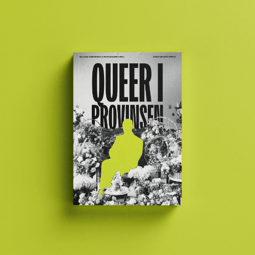 Bogreception - Queer i provinsen