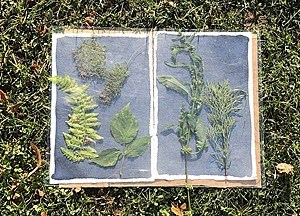 Workshop med Karin Lykke