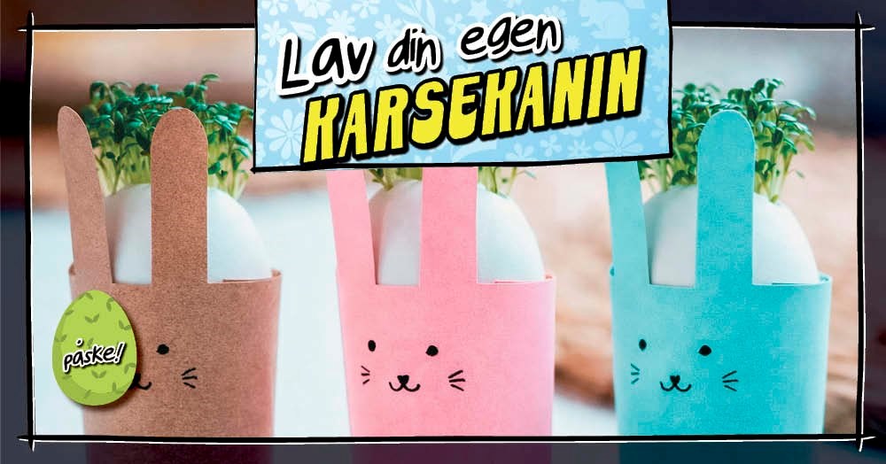 Lav din egen Karsekanin
