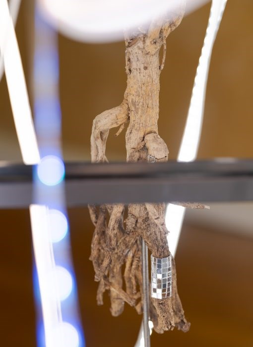 Kunstlæsecafé - Kunst i Klimakrisens tidsalder