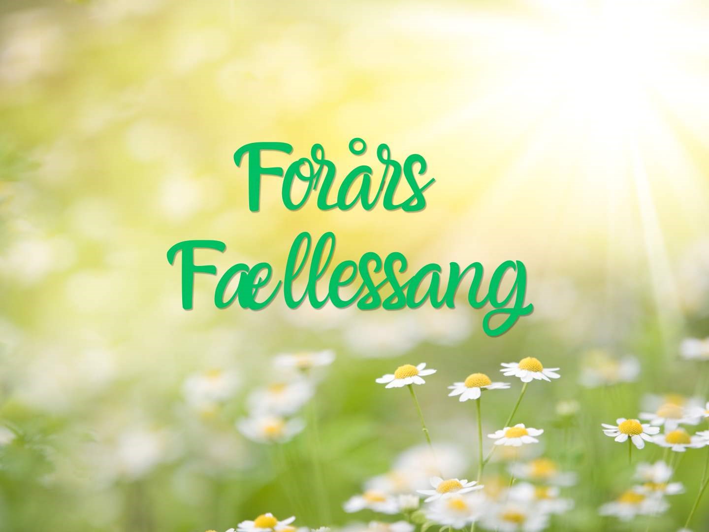 Forårs Fællessang