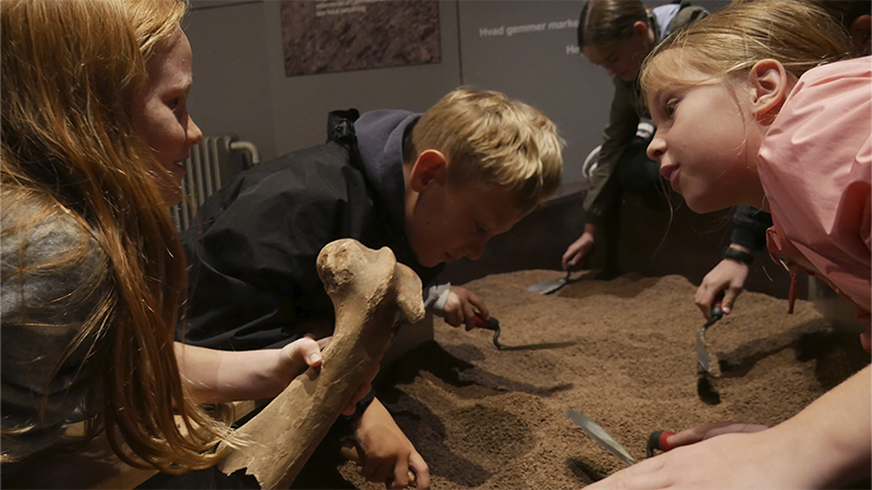 Grav jer ned i fortiden - arkæologi for hele familien