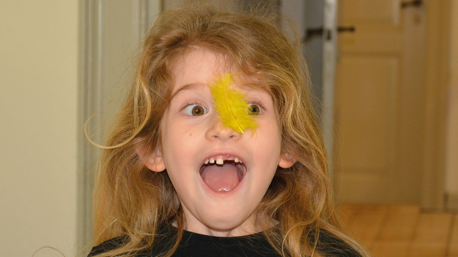 Æggejagt for hele familien på Slagelse Museum