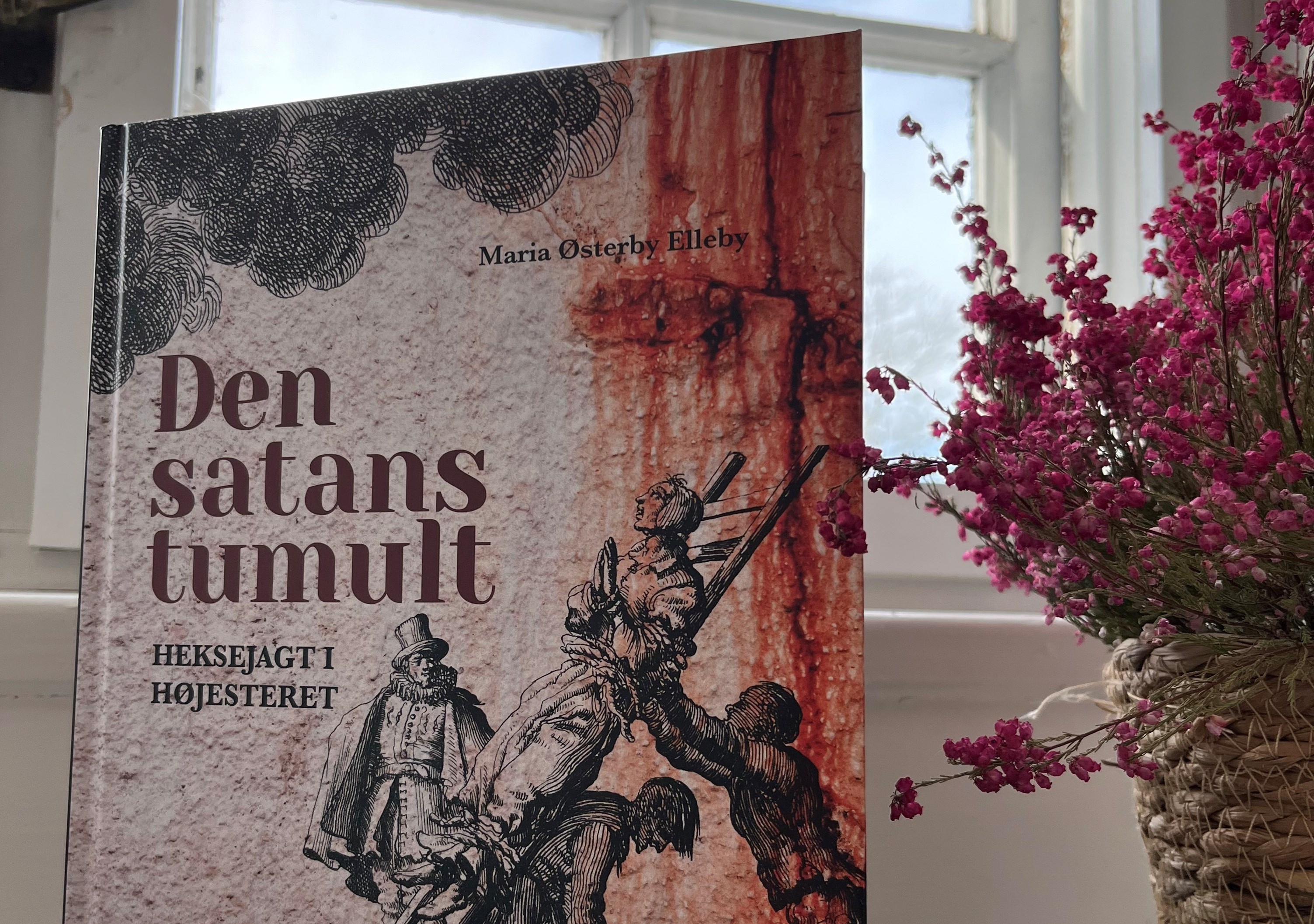 Bogreception: "Den satans tumult. Heksejagt i Højesteret"