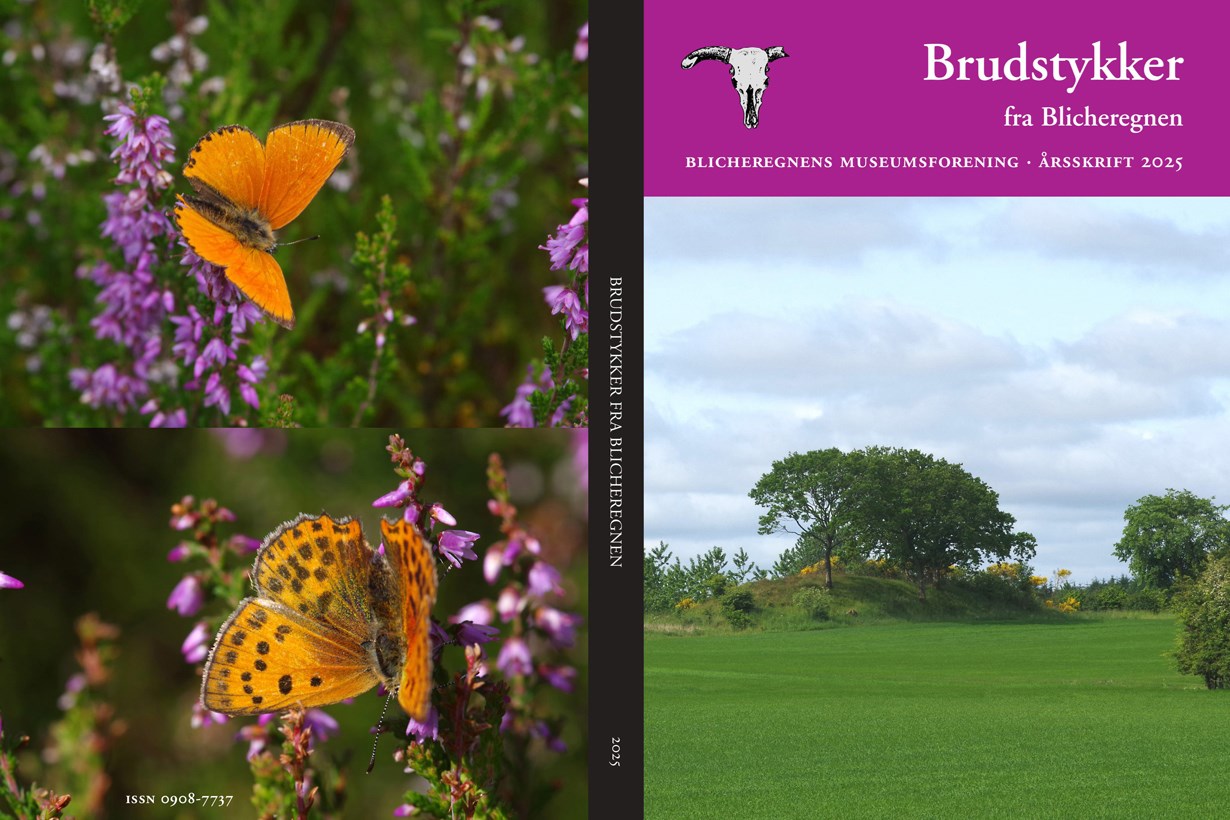 Bogreception - Brudstykker