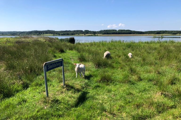 Guidet tur i fortidens fodspor på hvid rute ved Bølling Sø