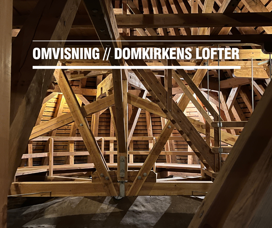 Omvisning på Domkirkens lofter