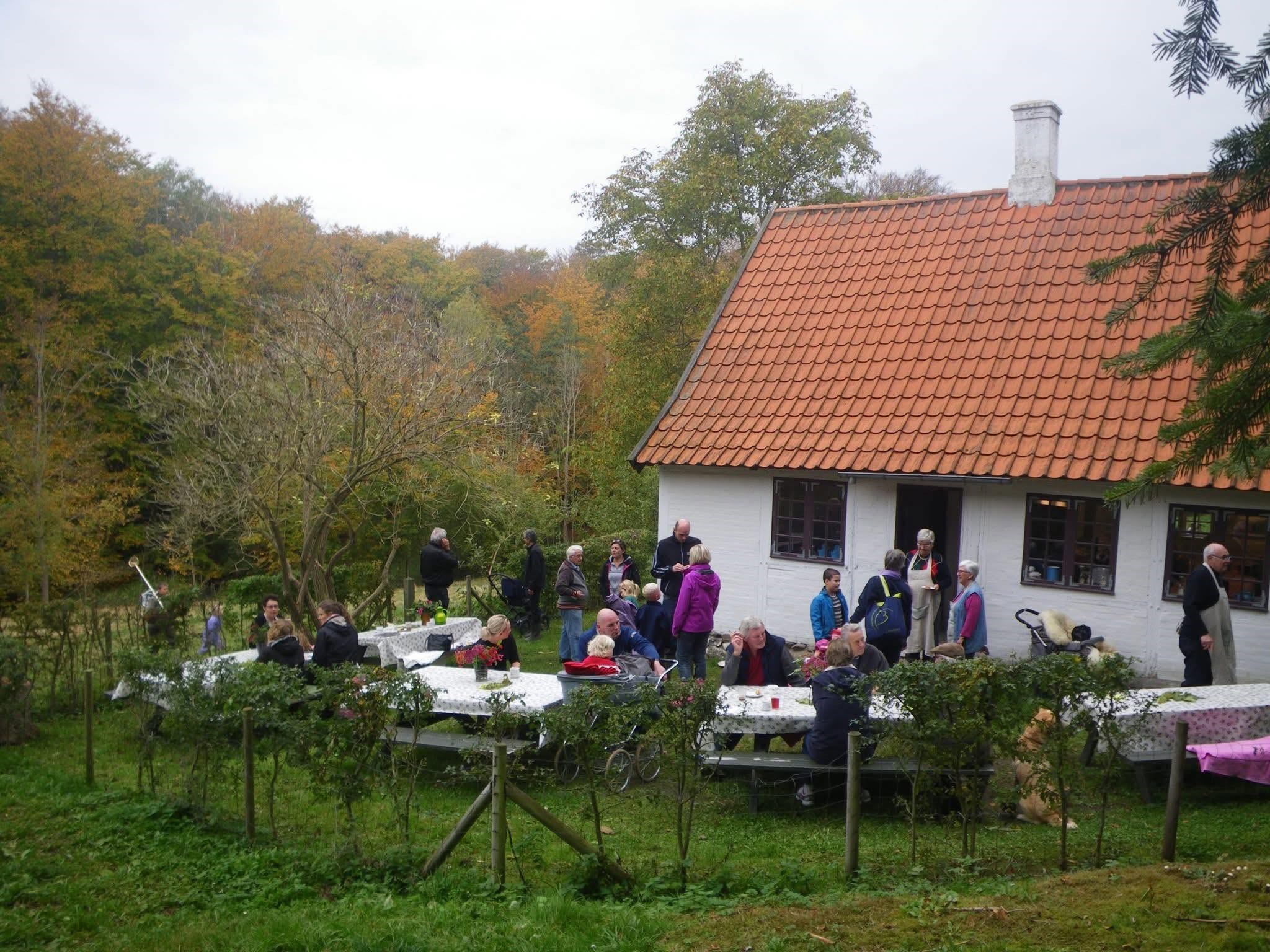 Kend din Skov