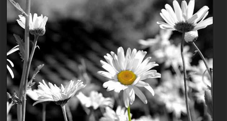 Musik- og fortælleaften med Kirsten Blegager