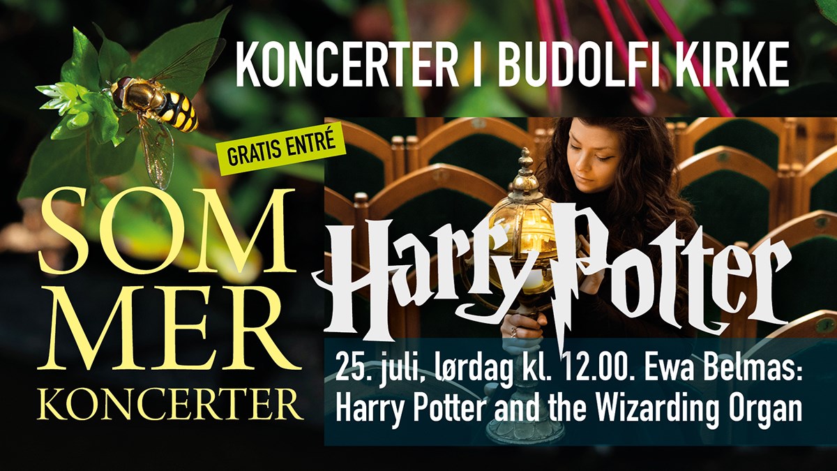 Harry Potter and the Wizarding Organ