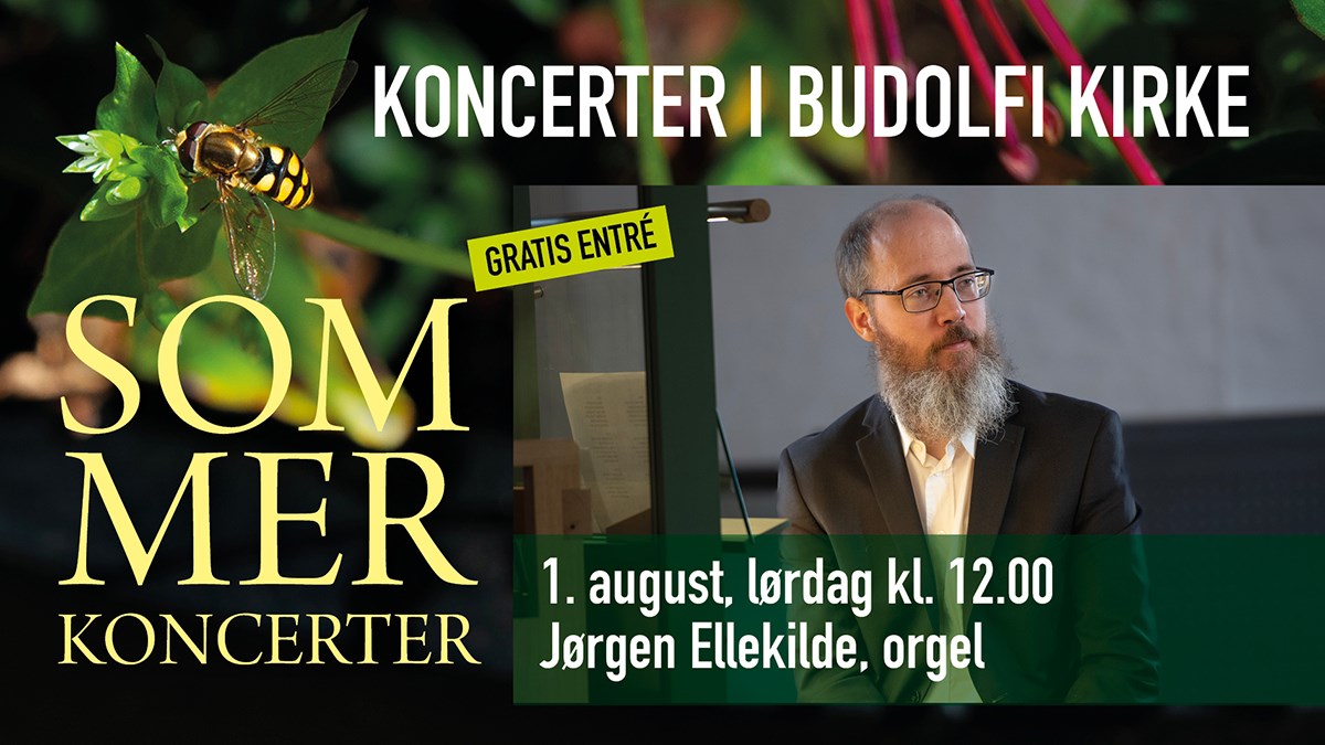 Sommerkoncert med Aalborgs domorganist