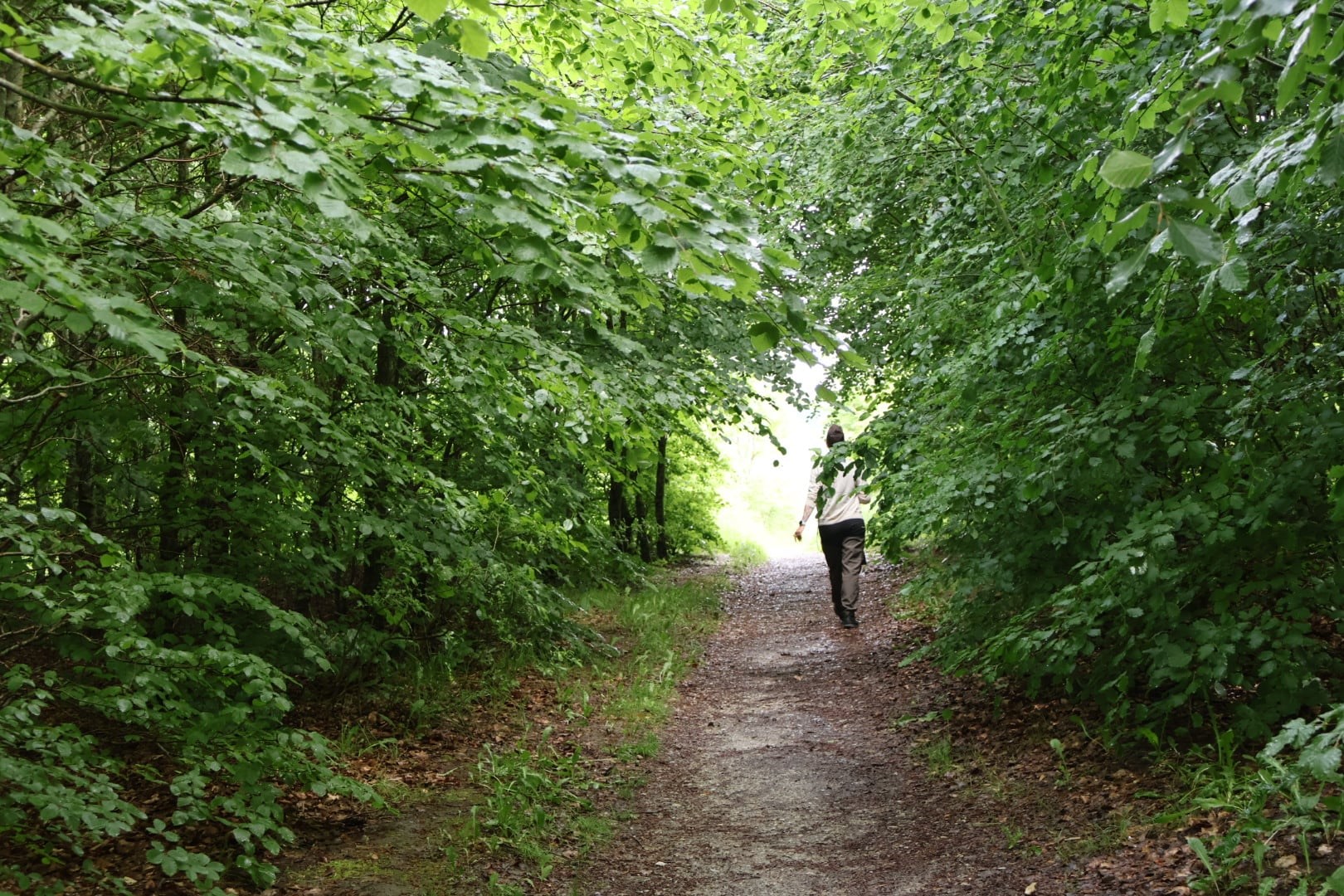 Skovbadning i Vestskoven