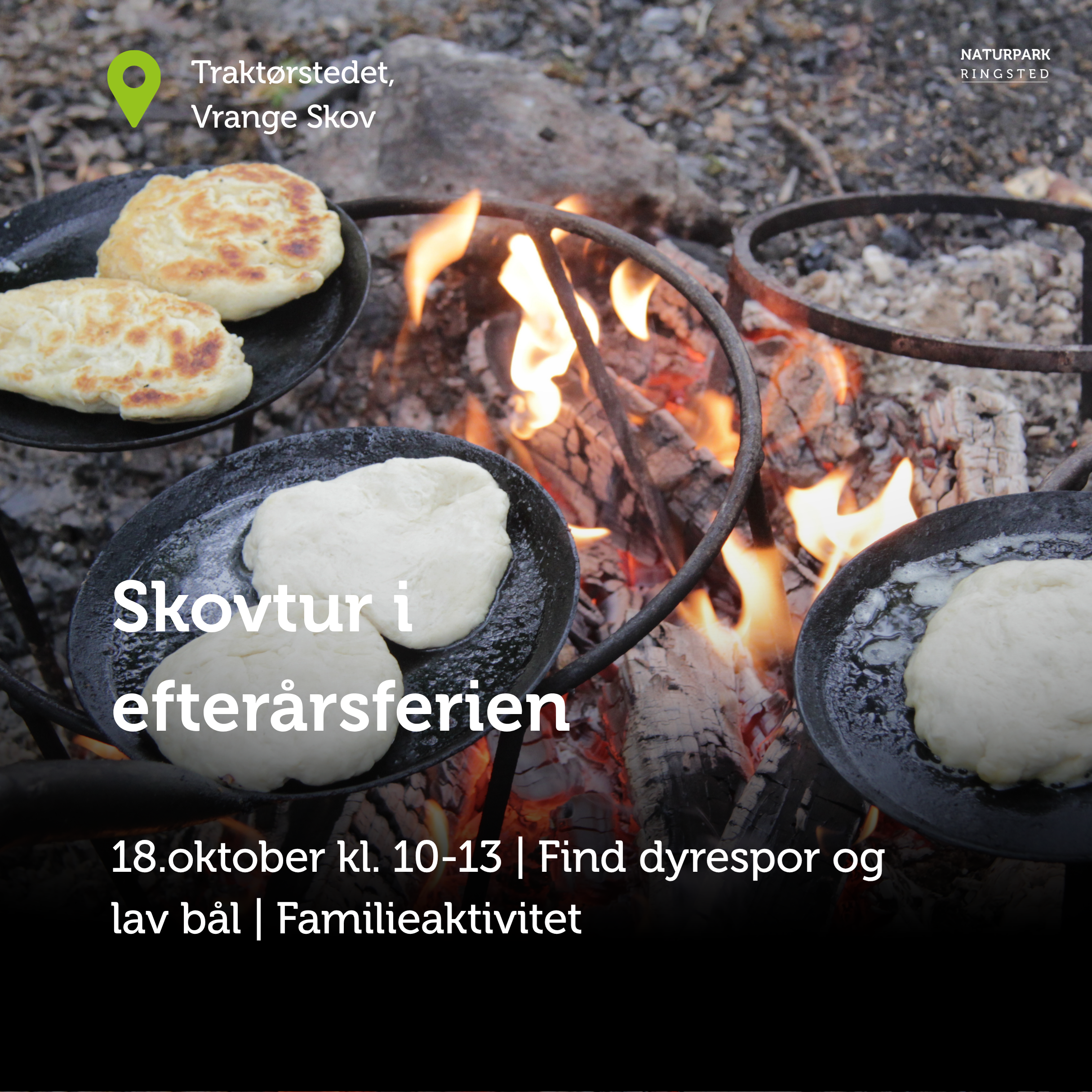 Skovtur i Naturpark Ringsted