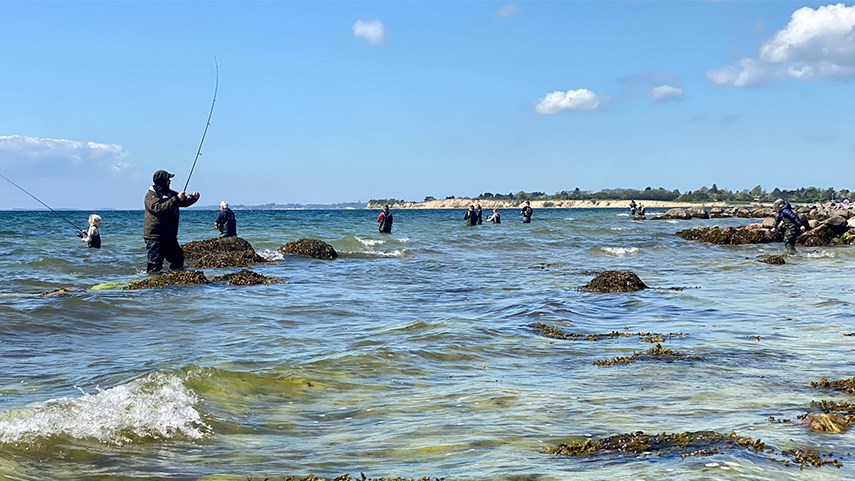 Catch & Clean - en dag med fiskeri, familiehygge og fokus på havmiljøet