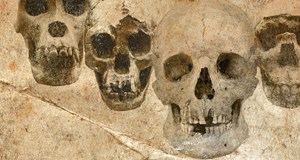 DNA og fossiler udvider vores stamtræ (via livestream fra Aarhus Universitet)