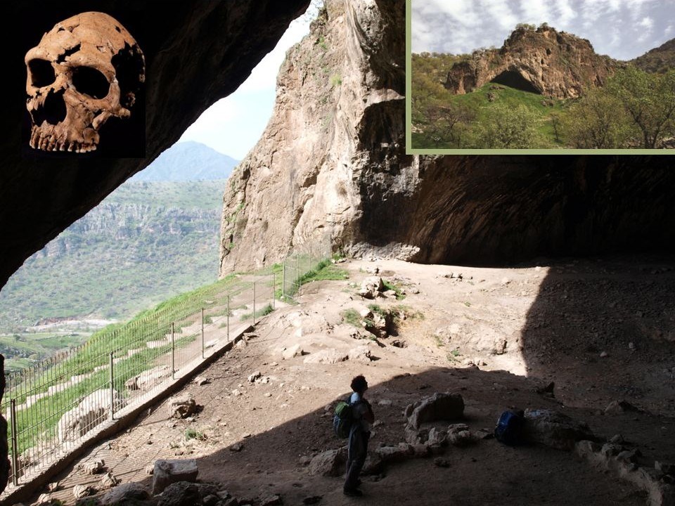 Foredrag: Neandertalernes Verden - på sporet af menneskets tidligste historie