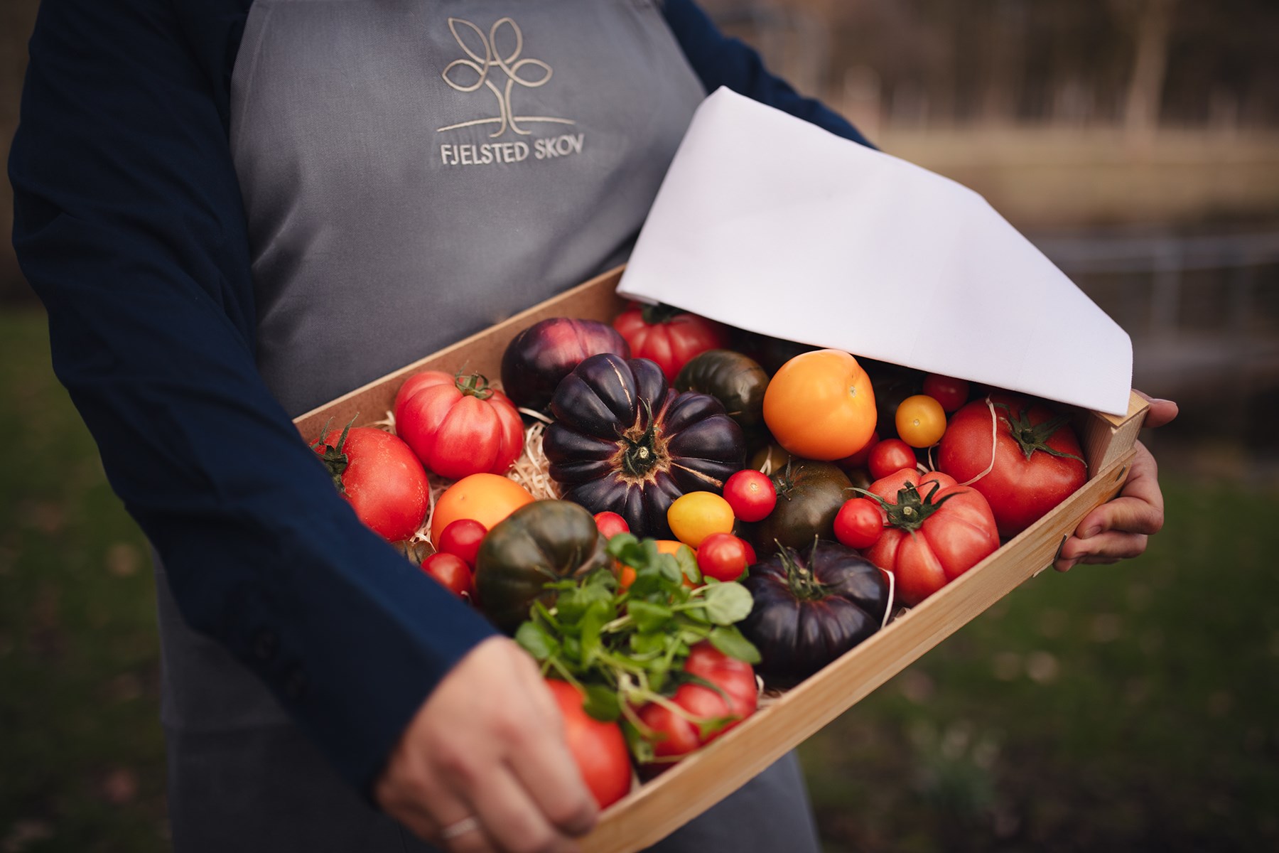 Tomataften i samarbejde med Fjelsted Vestergård
