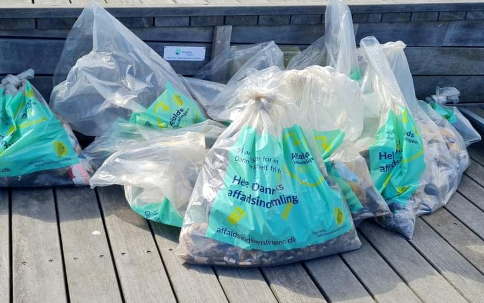 Affaldsindsamling med Øresundsakvariet