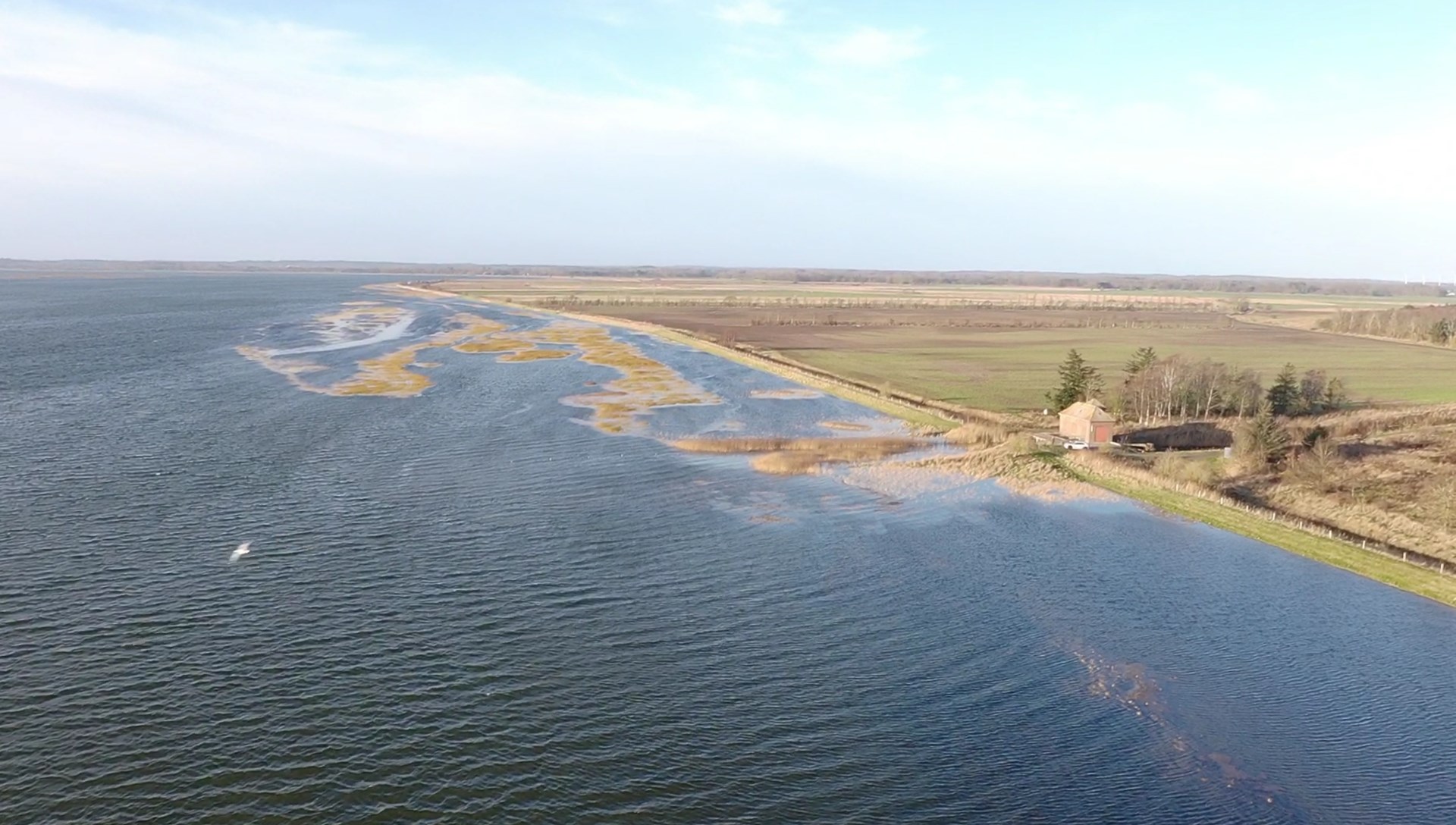Guidet vandretur i naturen ved Als Odde