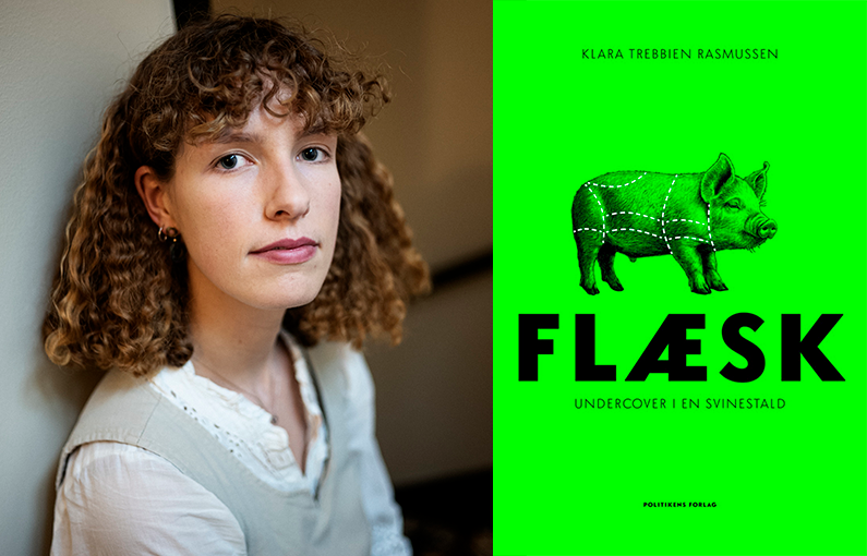 Flæsk - undercover i en svinestald