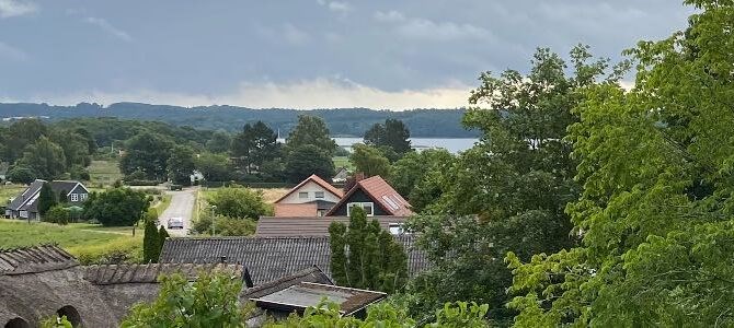 Kort vandretur gennem Eriksholm skov