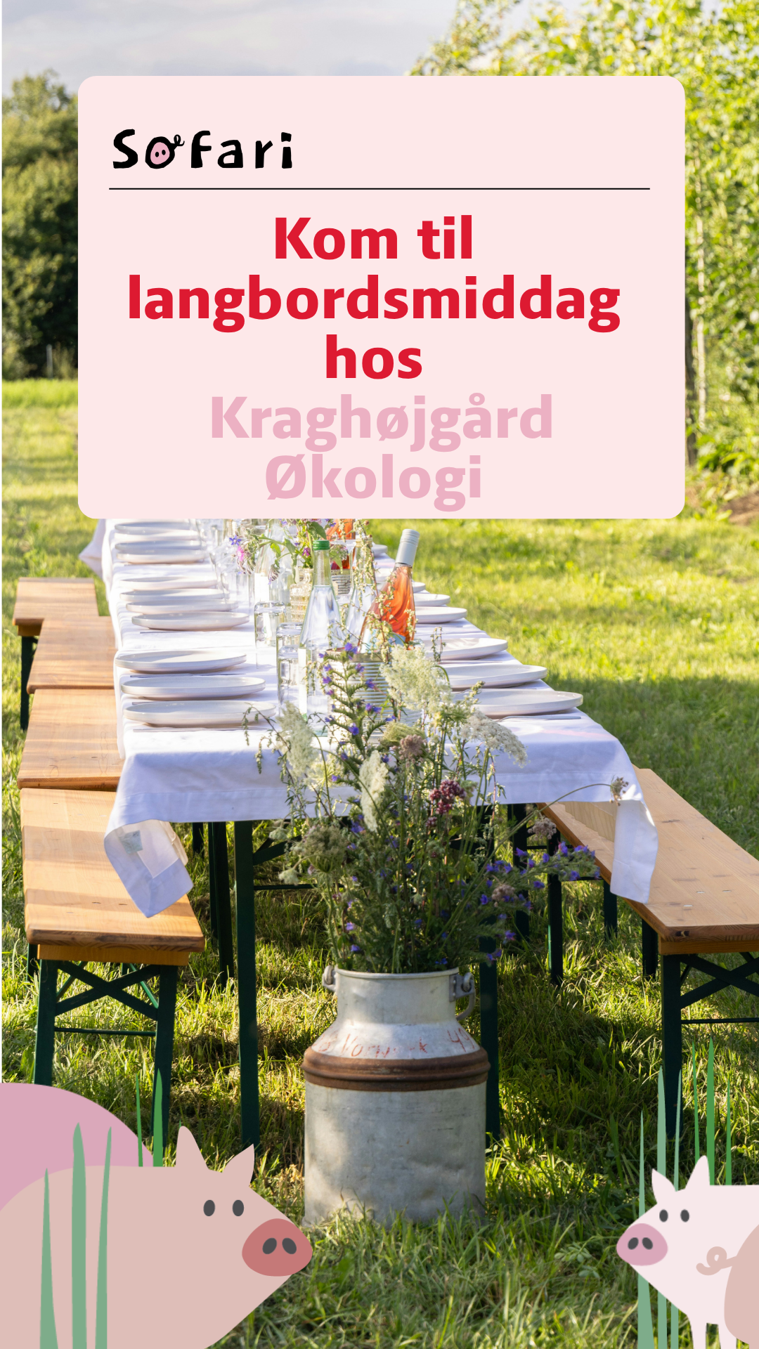 Langbordsmiddag hos griseproducent Lasse Korsgaard på Kragehøjgård Økologi