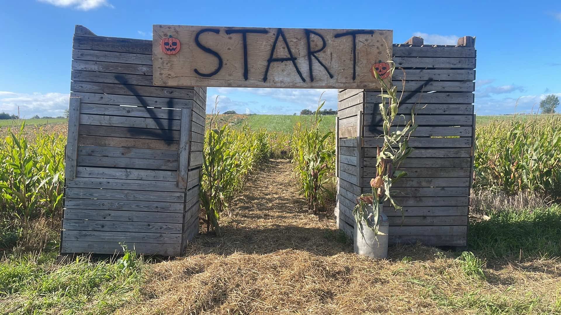 Majslabyrint for mindre børn og barnlige sjæle