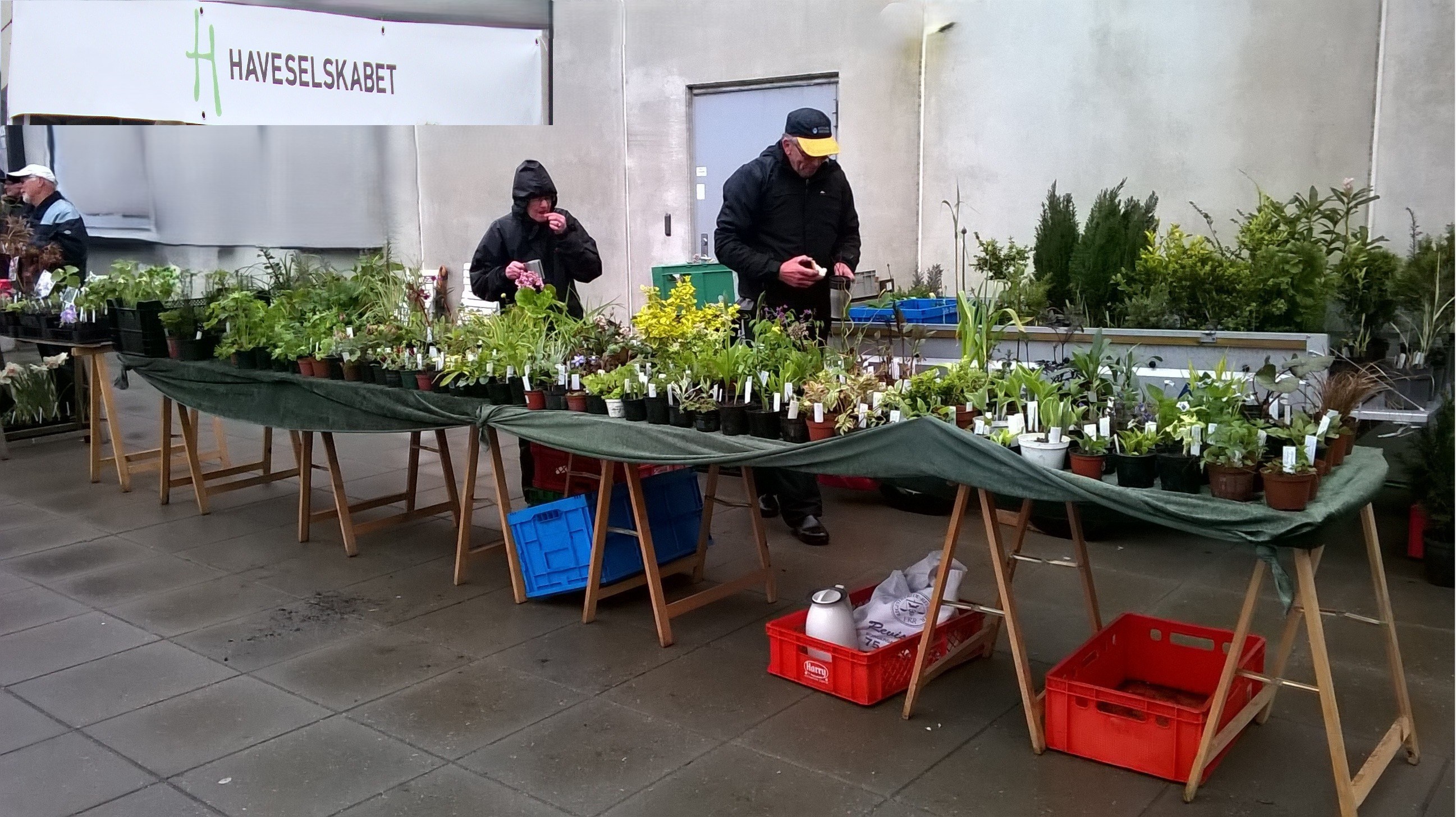 Haveselskabets plantemarked i Ringkøbing