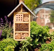 Brønderslev Senior Festival: Krea dag i Grønningens Gårdhave - Insekthoteller og maling på porcelæn