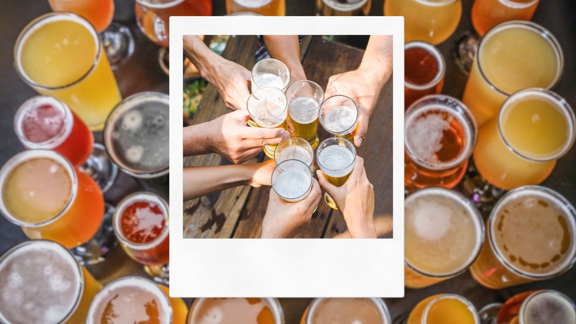 Ølsmagning på NIOR Juelsminde