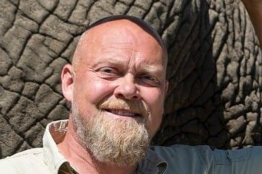 Blandt Afrikas elefanter