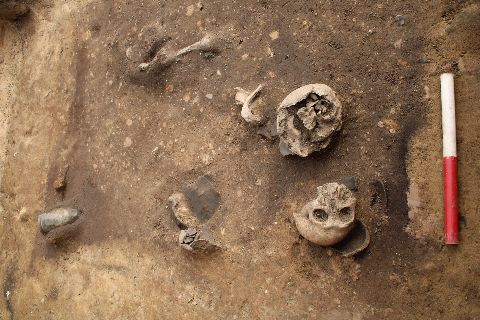 Fyrster og friller - En status på udforskningen af gravpladsen ved Vaarst i Nordøsthimmerland